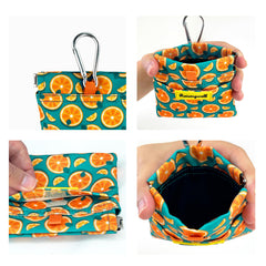 Diseño colorido Raisingwell, ideal para paseos diarios del perro.