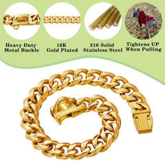 RAIWAV hebilla de seguridad, collar fácil de colocar y quitar.