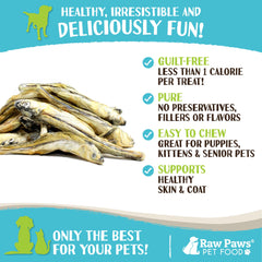 Ingrediente único Raw Paws Minnows sin granos, apto para dietas sensibles.