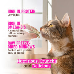 Rawz salmón, snack crujiente para gatos y nutrición diaria