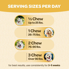 Golosinas Ready Pet Go en mano, sabor agradable para perros de todas las edades.