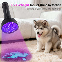 REALHUNLEE detección de orina en alfombras y suelos con luz UV