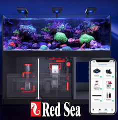 ReefMat 1200 con ReefBeat para control por aplicación