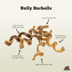 Redbarn Bully Springs: forma espiral duradera que estimula la masticación