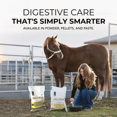 REDMOND Daily Gold arcilla natural en envase, dosificación fácil para viaje