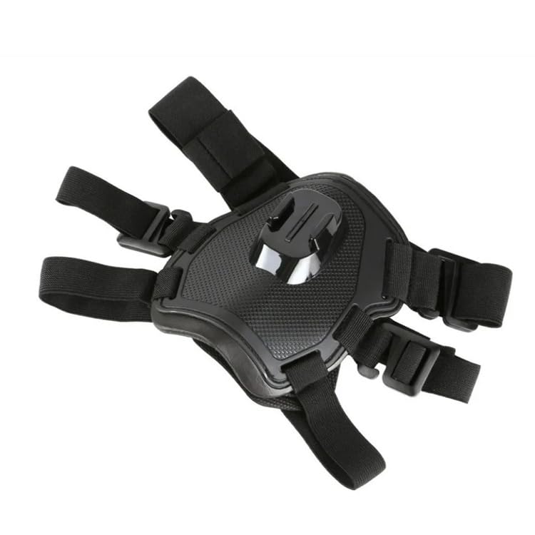 Reflex Camera arnés perro pecho punto de vista para paseos y caminatas.