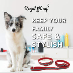 Regal Dog Products anillo en D de metal para seguridad.