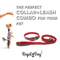Hebilla doble de metal del collar Regal Dog Products para mayor durabilidad.