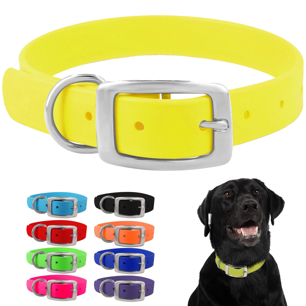 Collar mediano Regal Dog Products con ajuste doble hebilla para perros medianos.