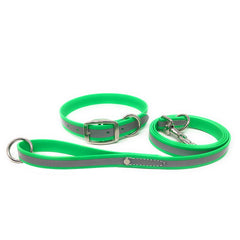 Regal Dog Products collar reflectivo verde lima para mayor visibilidad nocturna