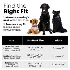 Regal Dog Products: correa impermeable morada de cinco pies para aventuras al aire libre.
