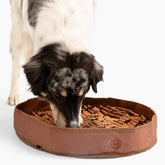 Reggie alfombrilla estimulante para perros de veinte pulgadas, fomenta comer con pausa.