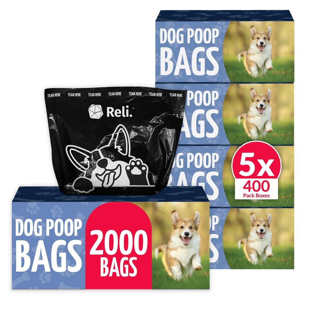Reli dispensador con caja de bolsas para perros, práctico para paseos diarios.
