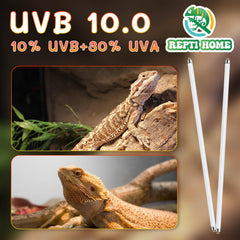 REPTI HOME tubo UVB: durabilidad de hasta 10,000 horas para uso prolongado.
