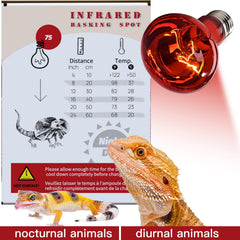 ReptiKing bulbo infrarrojo 75W para zonas calientes