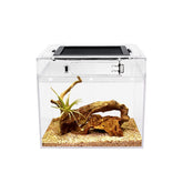 Reptile Growth mini terrario, vista frontal para inspección rápida.