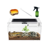 Reptile Growth mini terrario 12x7x6 vista 360 para observación clara