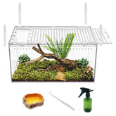Reptile Growth: vista superior del tanque para observar con claridad.