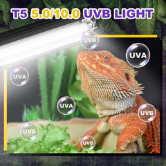 Reptispa T5 HO UVB tubo fluorescente: brillo uniforme para terrario.