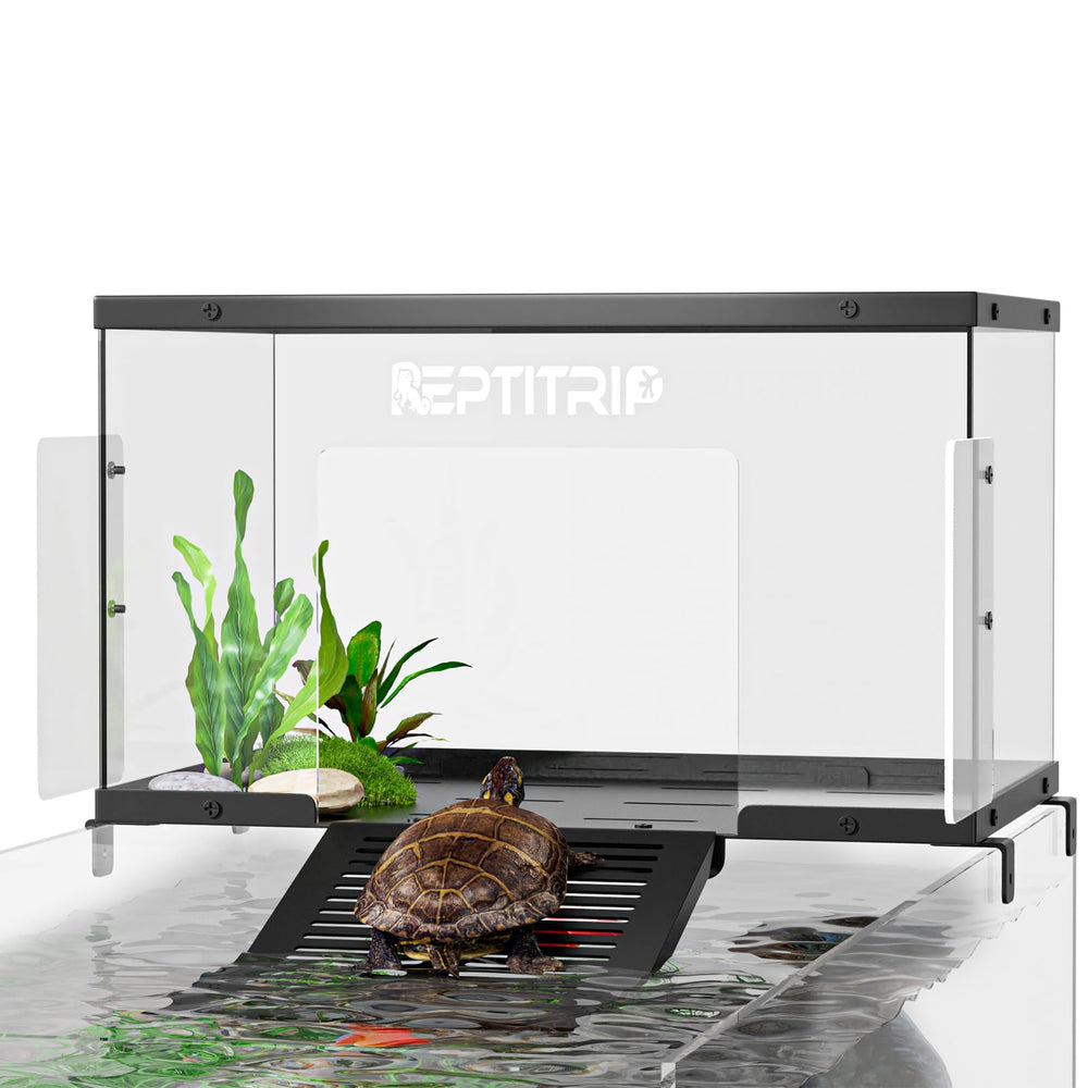 REPTITRIP plataforma tortuga exposición de luz para tomar sol