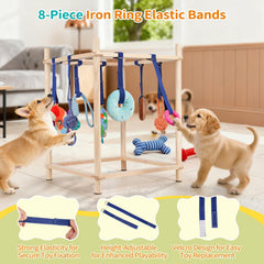 Retyion bandas elásticas: ajuste de altura de juguetes para cachorros