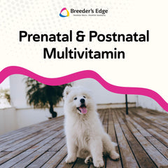 Revival Breeder-edge durante lactancia, favorece producción de leche.