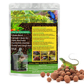 Riare bolas de arcilla expandidas para terrario, drenaje eficiente y sustrato estable.