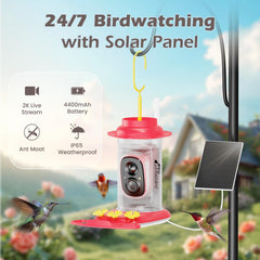 RichBird alimentador con cámara HD 3MP y detección de movimiento para grabar visitas.
