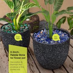 Grava verde pulida de RIFNY para plantas, base decorativa.