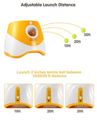 Rigshru pack de 12 bolas tenis, perfecto para sesiones de juego largas.