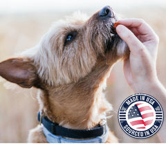 Riley's Slims paquete de 7 oz, snack saludable para perros.