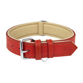 Riparo collar grande para perro rojo, vista frontal, estilo elegante para paseos
