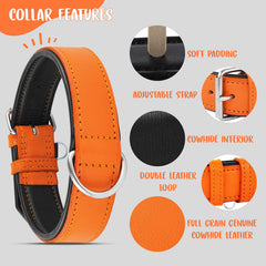 Collar Riparo Motorsports con anilla en D para entrenamiento suave