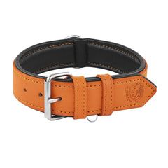 Collar Riparo Motorsports de cuero naranja acolchado, ideal para paseos diarios y perros grandes