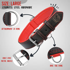 Riparo Motorsports collar de cuero acolchado para perro mediano, comodidad extra en caminatas largas.