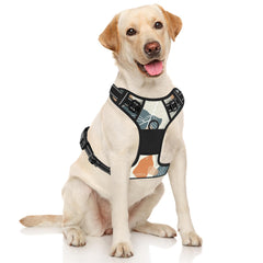 Rnivvi arnés perro con costuras reflectivas, mejora visibilidad nocturna.