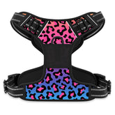 Arnés Rnivvi sin tirón con diseño leopardo neon para paseos más controlados.