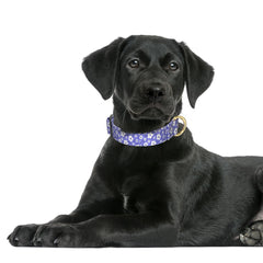 Collar Rnivvi para perro grande con diseño floral purpura, estilo elegante.