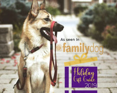 Collar Rogz para perros grandes, diseño seguro y cómodo.