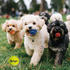 Rohyu pelota mini de goma suave para dientes sensibles