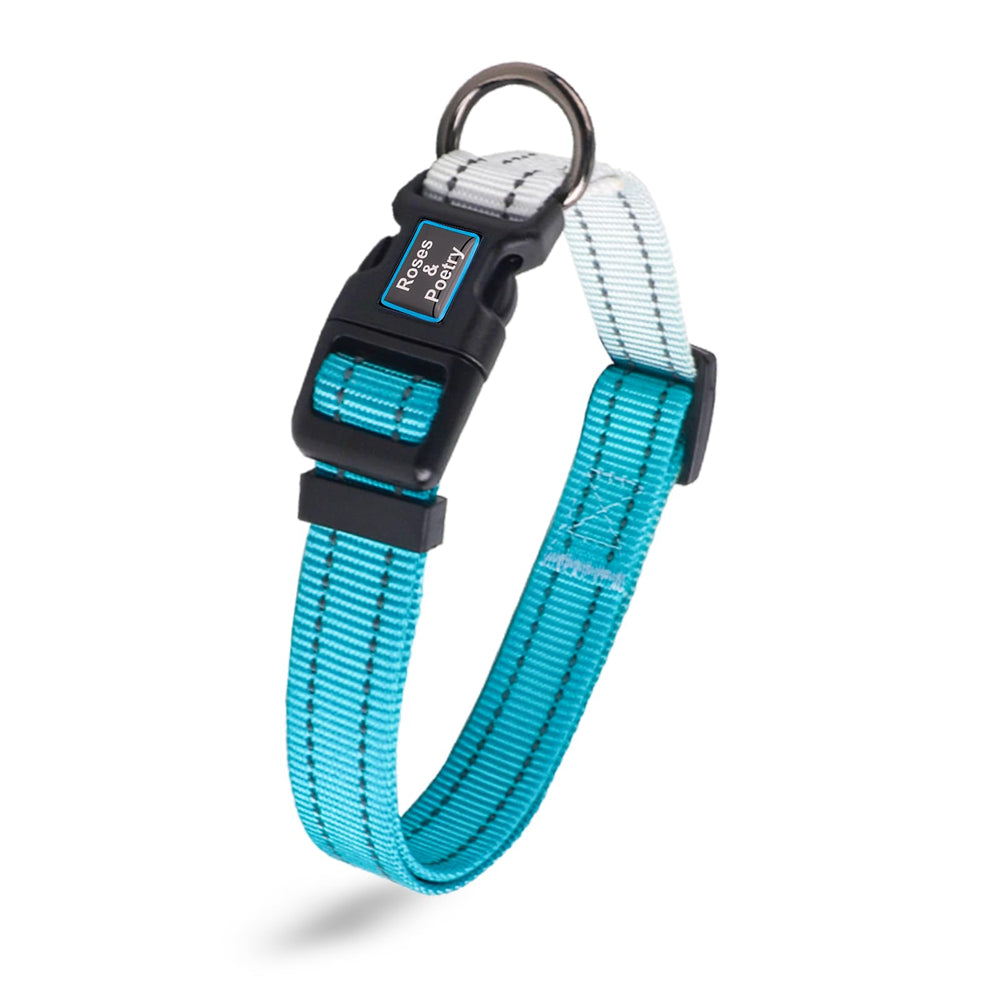 Roses&Poetry collar-teal-medio-ajuste para paseos diarios seguros y cómodos.