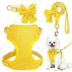 RoseYouth collar-lazo-removible-amarillo, perfecto para fotos y paseos con estilo.
