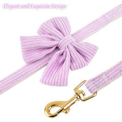 RoseYouth detalle de lazo en el collar para destacar su estilo.