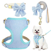 RoseYouth set de collar y correa con lazo azul, perfecto para paseos con estilo.