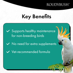 RoudyBush Dieta Limpia para Aves: sin colorantes artificiales para cuidado diario