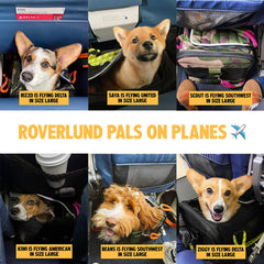 Roverlund Transportín Mascotas Talla pequeña: apto para mascotas de hasta 12,5 libras.