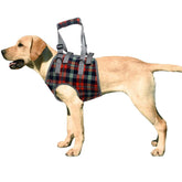 ROZKITCH arnés levantamiento perro frente: apoyo seguro para las patas delanteras.