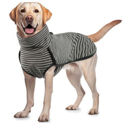 ROZKITCH capa para perro con cuello alto, ideal para paseos fríos.