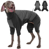 ROZKITCH cazadora frontal para perro grande, protege de lluvia ligera