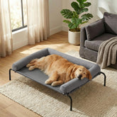 Cama para perro elevada de RRPETHOME, grande y con enfriamiento, ideal para uso al aire libre.